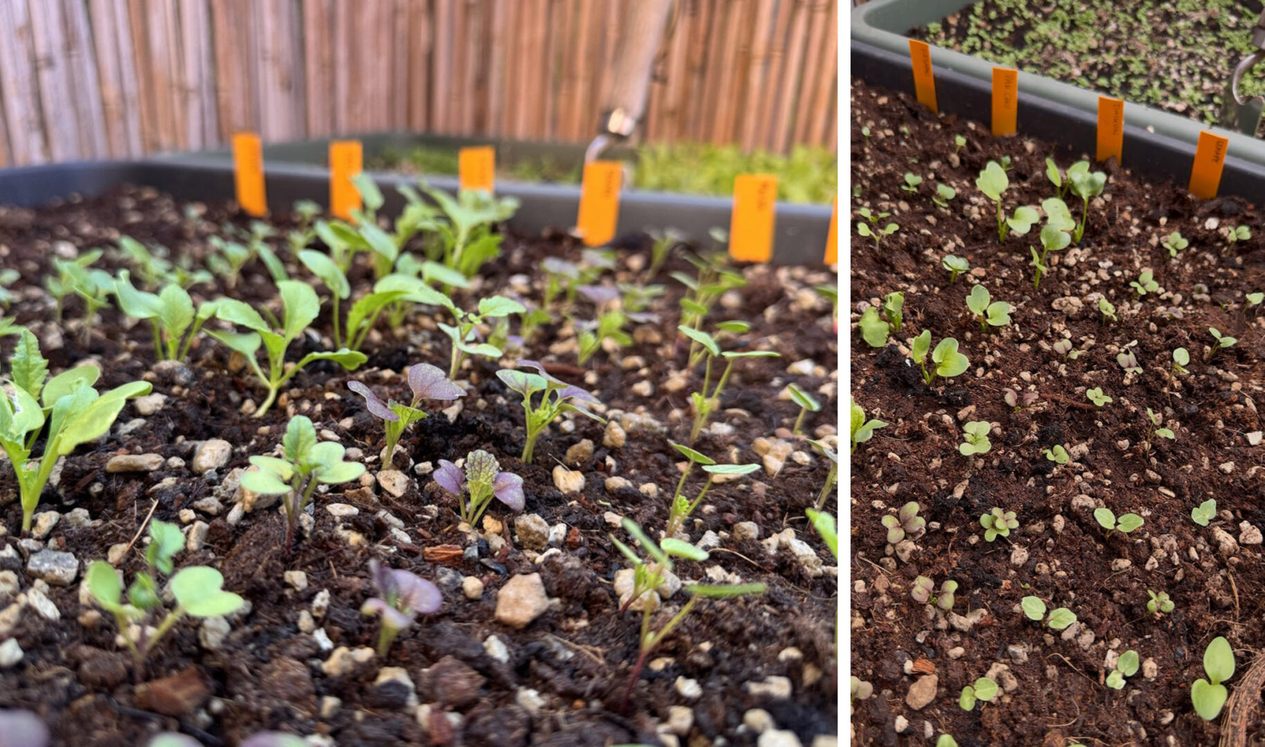 Final result of re-stakeout