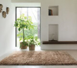 How to keep your carpet clean for a long time?